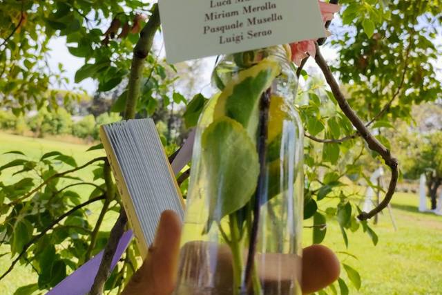 Masseria GiòSole 3