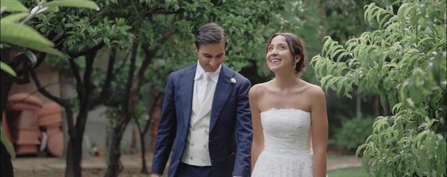 Pietro Vizzari Films - 1