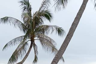 Un Viaggio Che Vale - 6