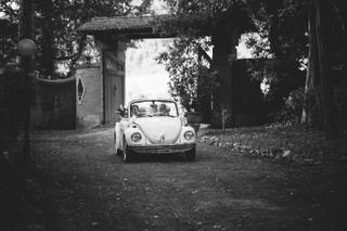 OMG Limousine, Auto d'Epoca e Super Car - 11