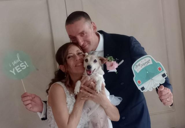 JL Dog Sitter for wedding - 3