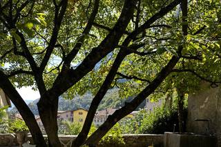 Castello della Torre - 10