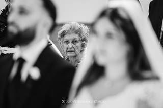 Curcio's Studio - 7