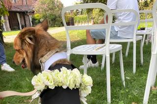 I Fiori di Monia - 22