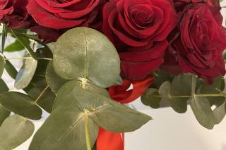 I Fiori di Lina - 19