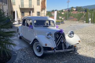 Le Auto di Magnolia - 26