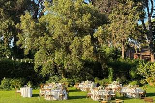 Eventi La Fenice di Mike Palermo - 9