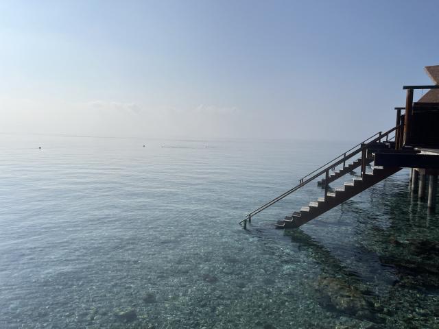 I viaggi di Marvin - 4