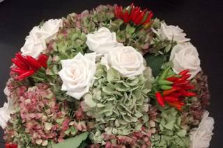 Fiorile - 9