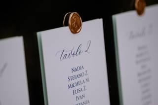Ginkgo Calligraphy - 7