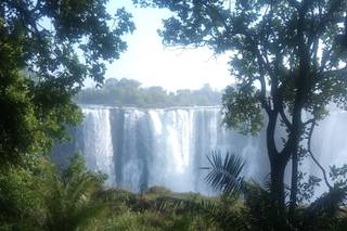 Zebrasoma Viaggi - 13