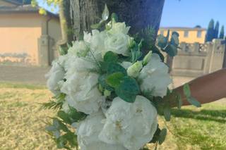 I Fiori di Lo' - 8