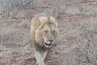 Zebrasoma Viaggi - 14