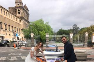 Maggiolino Brillo - 13