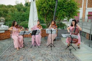 Archidee Strings - 12