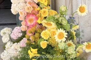 Lori Campana Events - 10