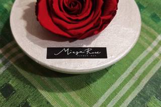 Miaga Rose - 8
