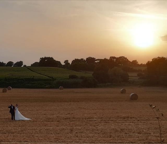 Tenuta di Santa Lucia - 4