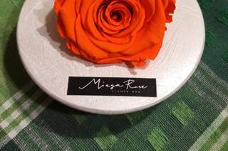 Miaga Rose - 10