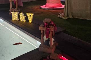 Dream Garden Eventi - 7