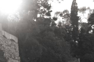 Sara Argiolas Photography - 28