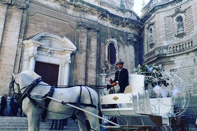 Exclusive Events Mimì 5