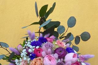 Nonsolofiori... - 17