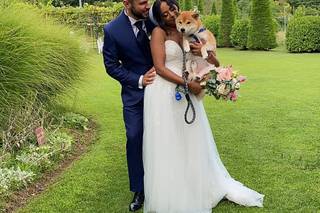 Ila Wedding Dog Sitter - 11