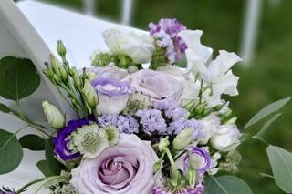 Papaveri e Papere - 8