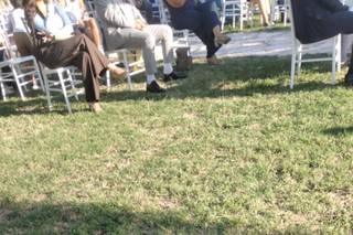 Le Cat e Dog Sitter - Wedding - 12