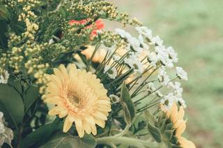 I Fiori di Barbara - 23