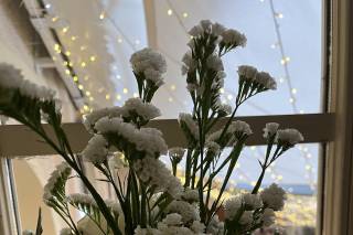 Castello Ducale Castel Campagnano - 22