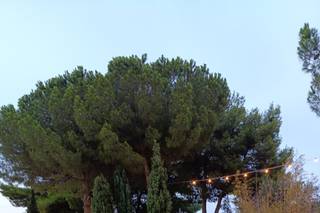 Love Car by Giorgio&Paola - 6