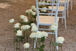 Le PomPon Flower - 7