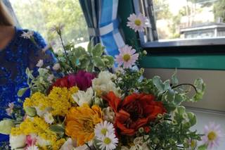 Il Giardino Fiorito - 6