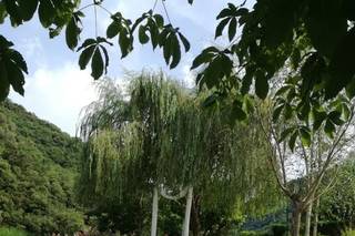 Hotel Ristorante Lago Bin - 10