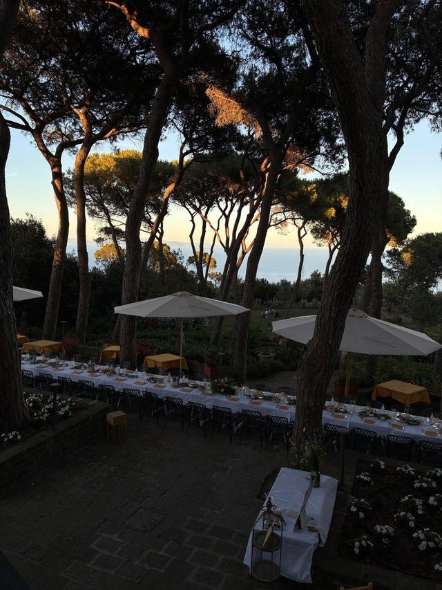 Tenuta delle Ripalte - 1