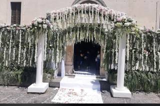 Fiorilandia di Falco Luigi - 10