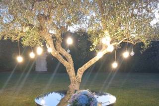 Chiara Flora - Flor Design Luciano Rizzi - 9