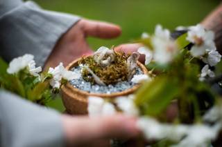 Nuovo Cinema Paradiso - 6