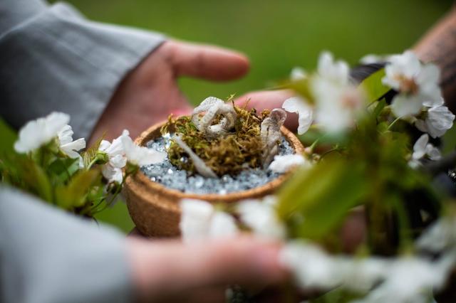 Nuovo Cinema Paradiso - 3