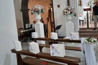 Fiorilandia di Falco Luigi - 11