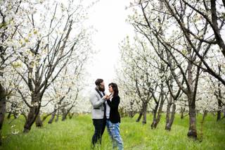 Nuovo Cinema Paradiso - 7