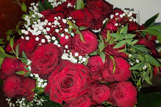 Fiorilandia di Falco Luigi - 12