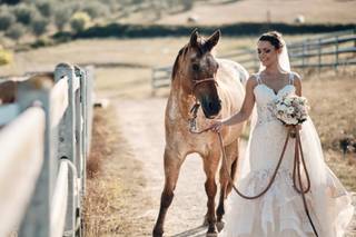 Roberto Nanni Photography - 18