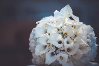 Mizuko Visual Studio - 11