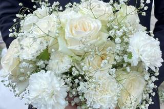 Flow Rodolfo Valentino Event Decorator - 6