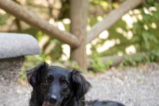 Diego Tortini Fotografia - 7