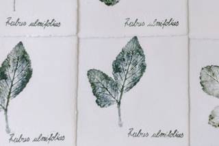 Stampalanatura - 10