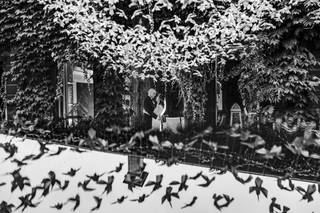 Tramontina studio - 7